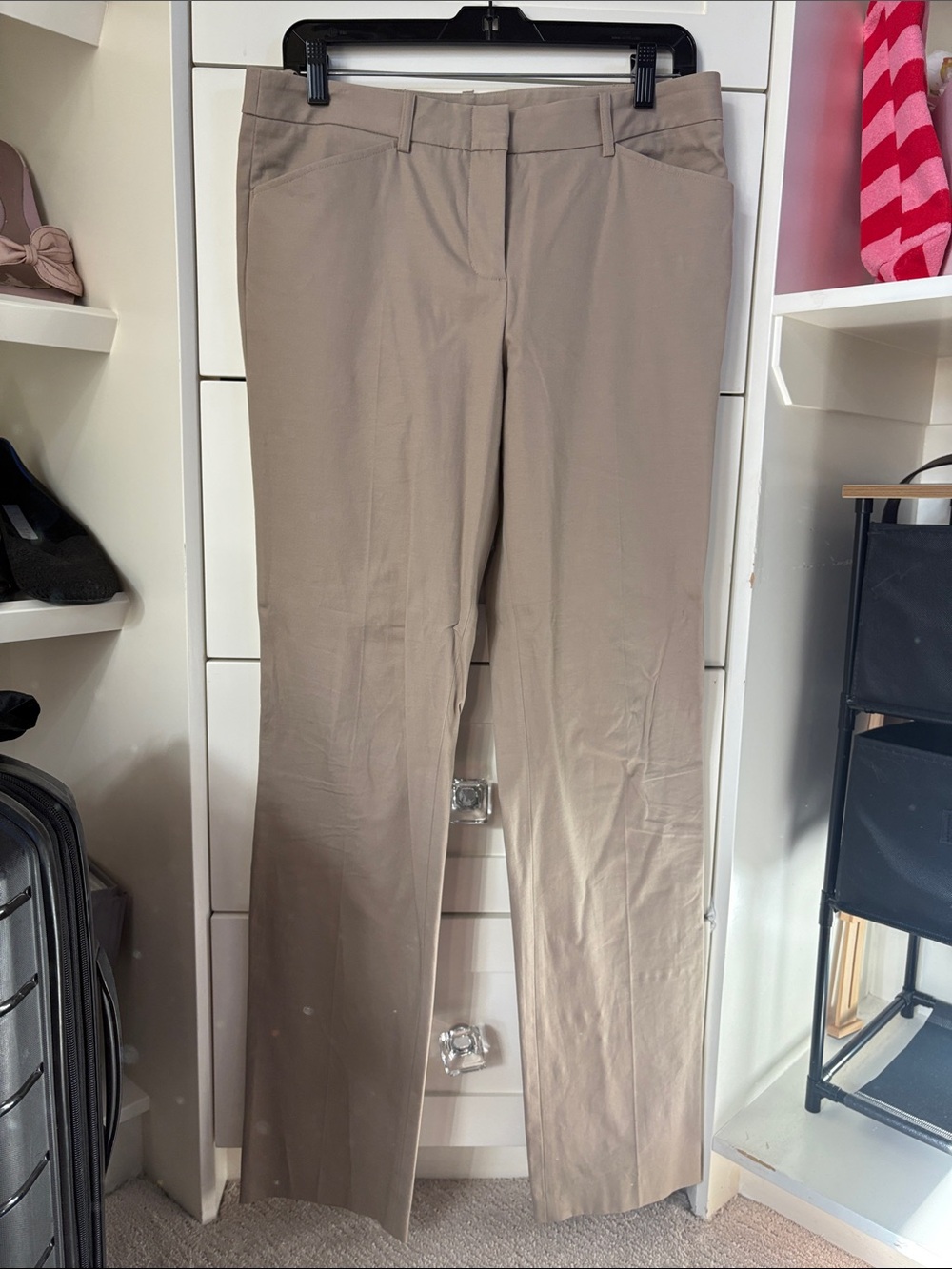 BCBG straight leg khakis